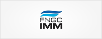 FNGCIMM SA - IFN